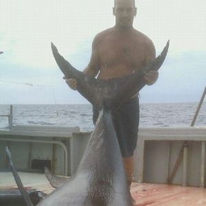 Meet your Posher, Dave